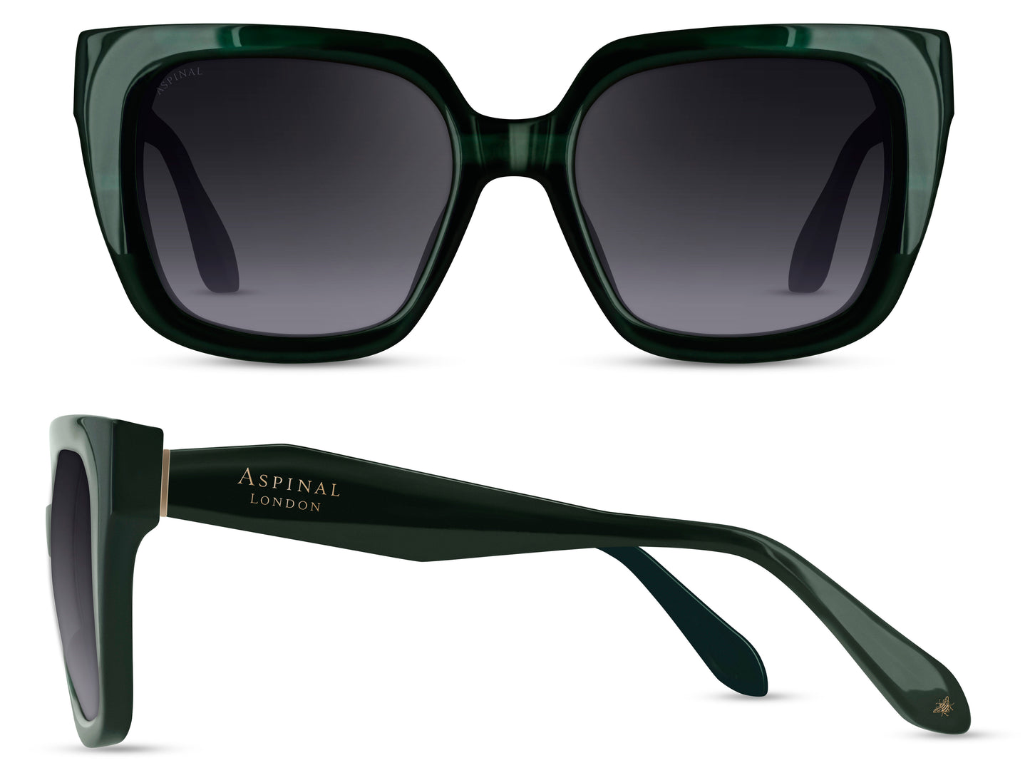 Aspinal of London luxe zonnebril voor dames